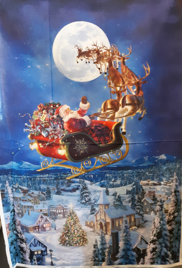 Panel Santa's Night Ride
